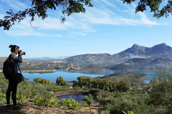 Ronda private tour from Seville - Wine museum visit and tasting