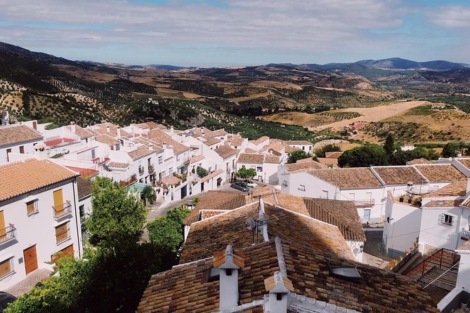 Ronda & White Villages Small Group Tour from Seville - White villages, olive oil, and the optional route