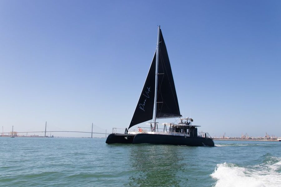 Sancti Petri: Catamaran Cruise with Swim Stop and lunch - Turning the bay into a swimming stop