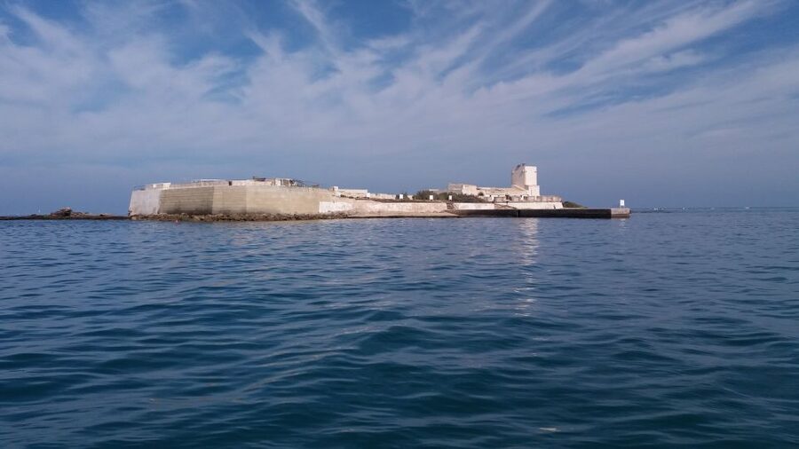 Sancti Petri: Catamaran Cruise with Swim Stop and lunch - Who should book this Cádiz Bay cruise?