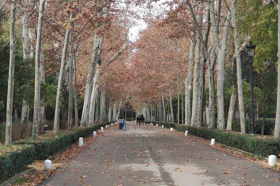 Secrets of Maria Luisa Park and Plaza de Espana - What the guides add to the experience