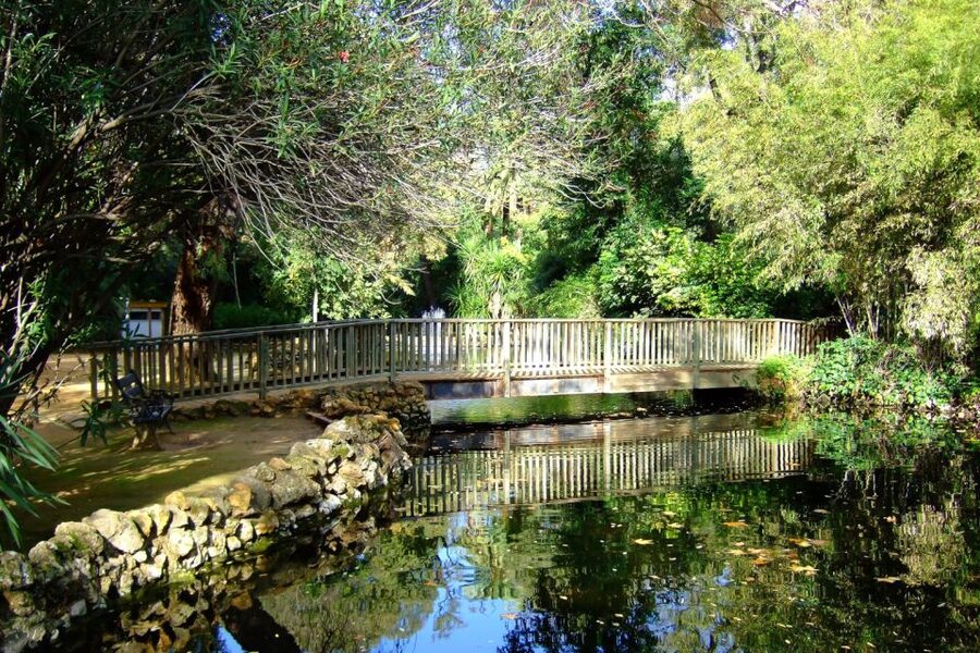 Secrets of Maria Luisa Park and Plaza de Espana - Water, gardens, and the Estanque de los Lotos