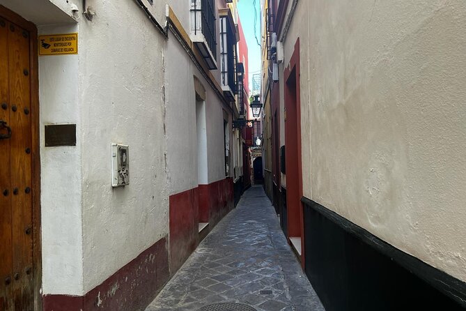 Sevilla: Essential Private Tour - Through Santa Cruz and the old Jewish Quarter