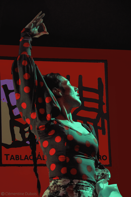 Sevilla: Flamenco Show at Tablao Álvarez Quintero - Why the small room matters
