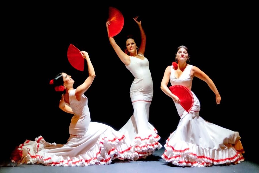 Sevilla: Hop-On Hop-Off & Walking Tours, Cruise & Flamenco - Flamenco at Theatre Pathé at 17:30 or 19:30