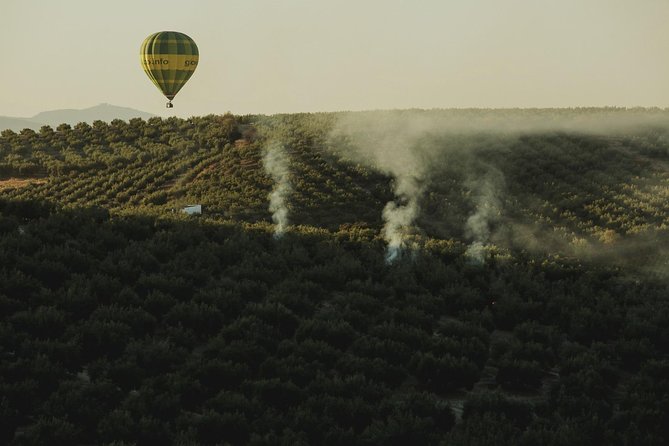 Sevilla Hot Air Balloon Rides - The Marismeño breakfast and cava toast