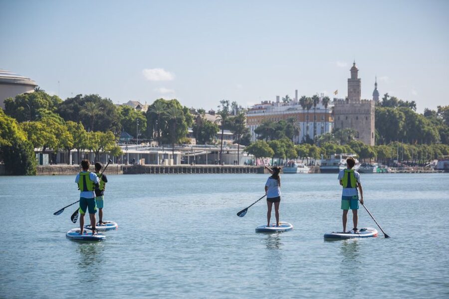 Seville: 1.5-Hour Daytime Standup Paddleboarding Tour - Meeting at Calle Betis, 19