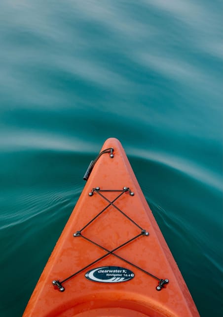 Seville: 1.5 hour Kayak Excursion - Starting beside the Guadalquivir on Calle Betis