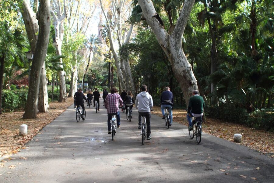 Seville: 1-Day Bike Rental - Why a Seville bike rental makes sense
