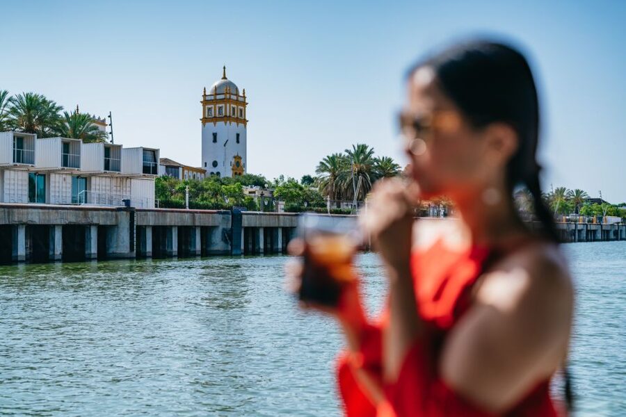 Seville: 1-Hour Guadalquivir River Sightseeing Eco Cruise - La Maestranza and the cathedral tower