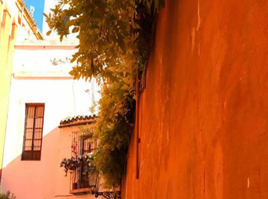 Seville: 1-Hour Walking Tour Barrio de Santa Cruz - Who will get the most from this tour