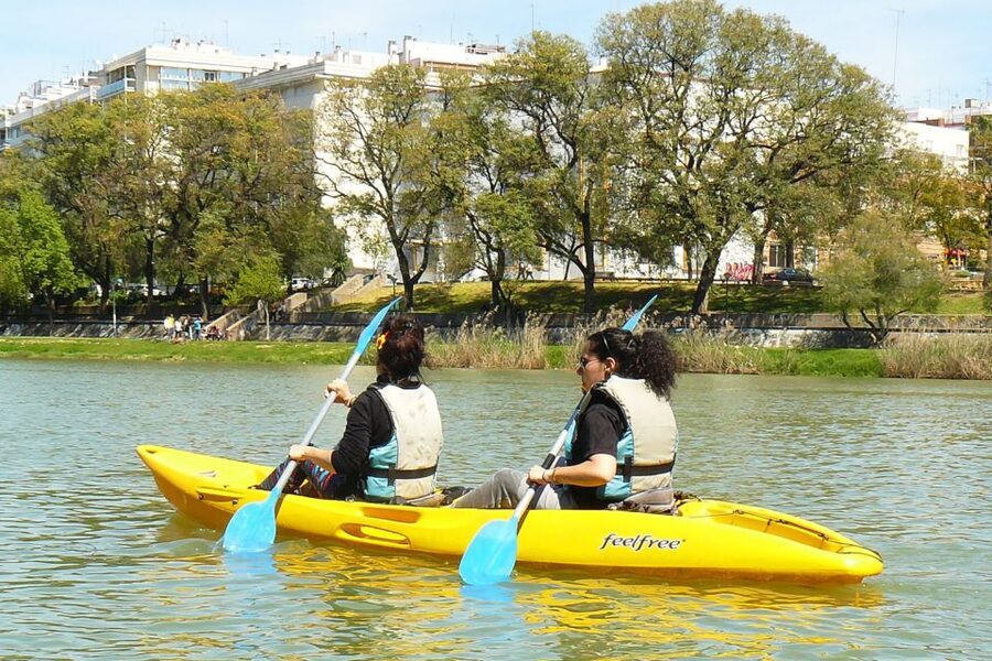 Seville: 2–Hour Guadalquivir River Kayaking Tour - What the guide adds