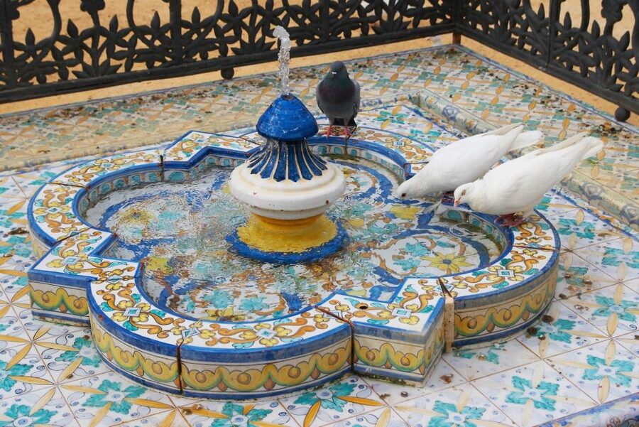 Seville 4-Hour Guided Walking Tour - Starting at Plaza Nueva with Seville’s civic face