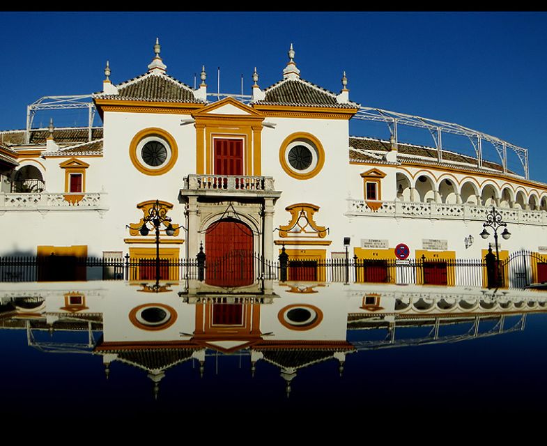 Seville 4-Hour Guided Walking Tour - Santa Cruz and the Archive of the Indies