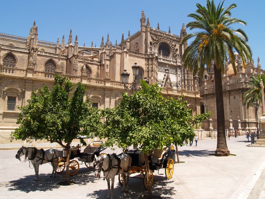 Seville: Alcázar Guided Palace Tour with Priority Access - The gardens and what happens after the guided portion