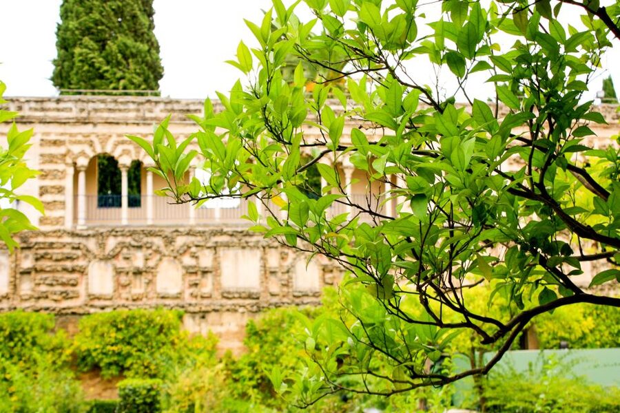 Seville: Alcazar Skip-the-Line Guided Tour with Tickets - Patios, fountains, and the gardens