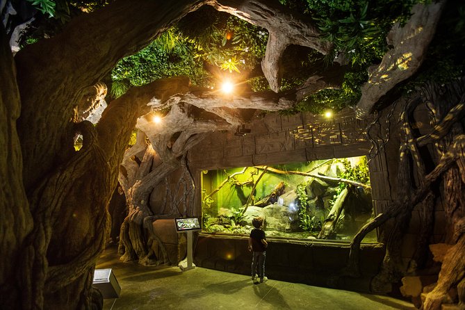 Seville Aquarium Admission Ticket - Atlantic and Amazon habitats change the mood