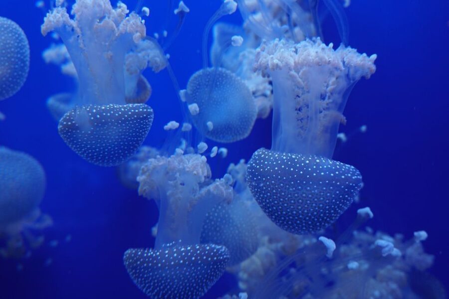 Seville Aquarium Admission Ticket - How long to spend and when to visit