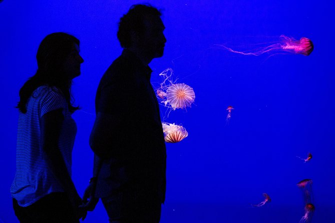 Seville Aquarium Admission Ticket - The Guadalquivir section brings Seville into the story