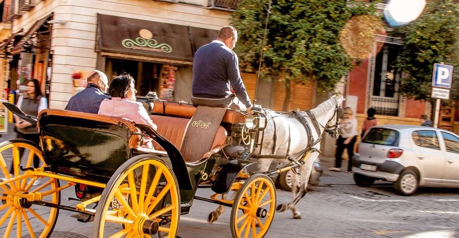 Seville: Authentic and Romantic Horse-Drawn Carriage Ride - A slower way to see Seville