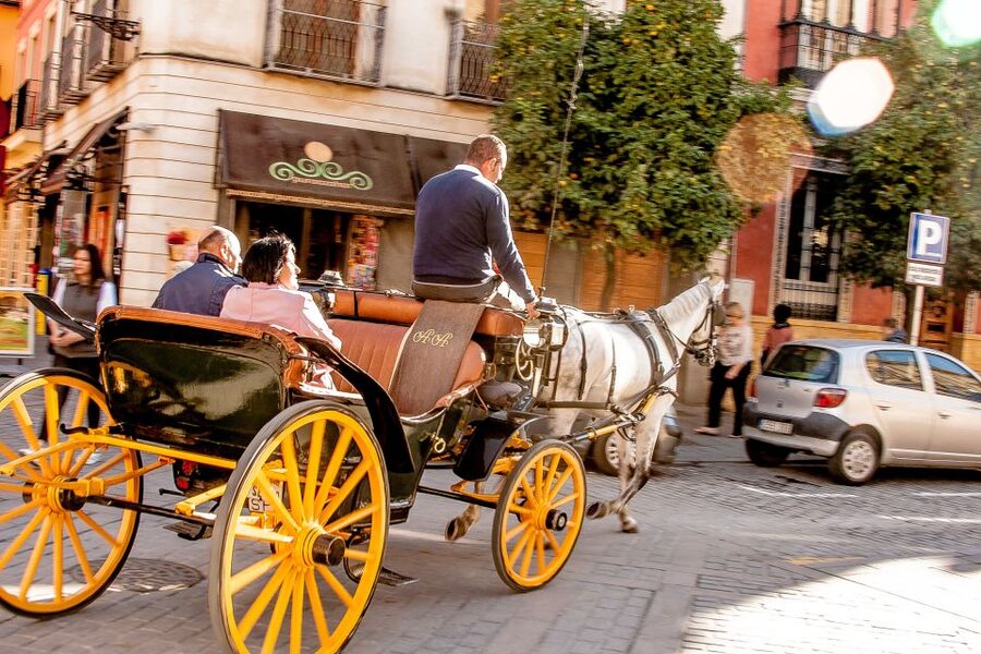 Seville: Authentic and Romantic Horse-Drawn Carriage Ride - Hotel Alfonso XIII and the grand central sights