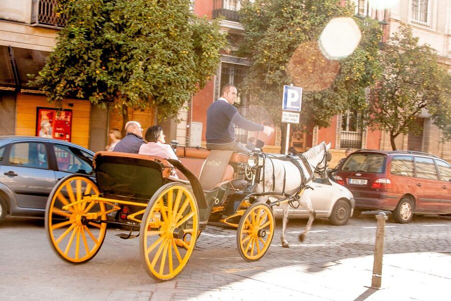 Seville: Authentic and Romantic Horse-Drawn Carriage Ride - Price and the question of value