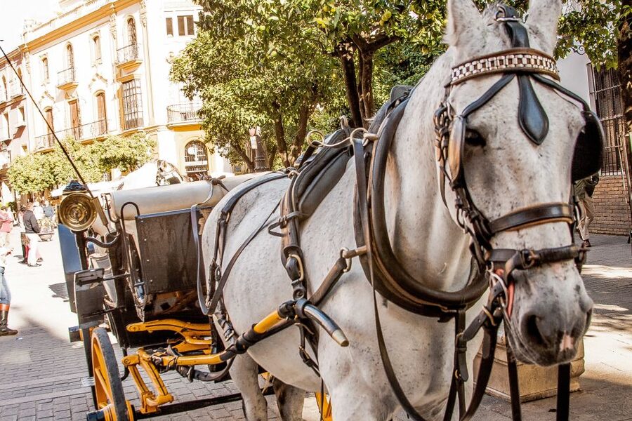 Seville: Authentic and Romantic Horse-Drawn Carriage Ride - How long is the ride, really?