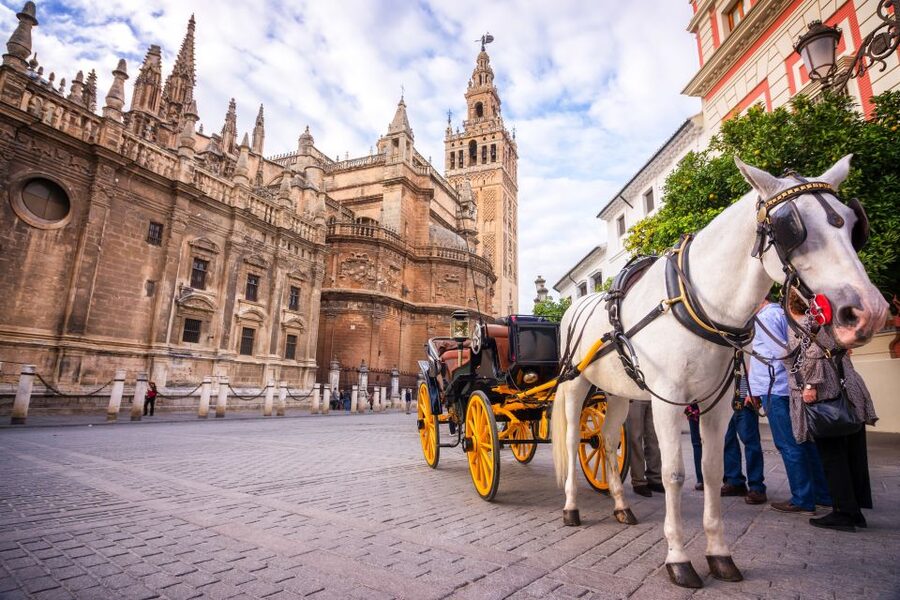 Seville: Authentic and Romantic Horse-Drawn Carriage Ride - The horse, the carriage, and the pace