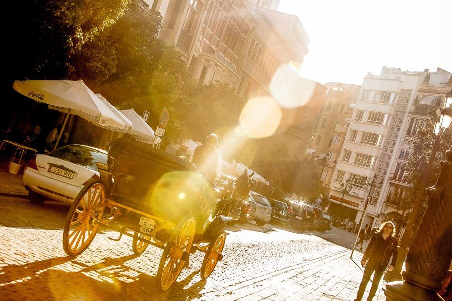 Seville: Authentic and Romantic Horse-Drawn Carriage Ride - The Guadalquivir riverside and Triana