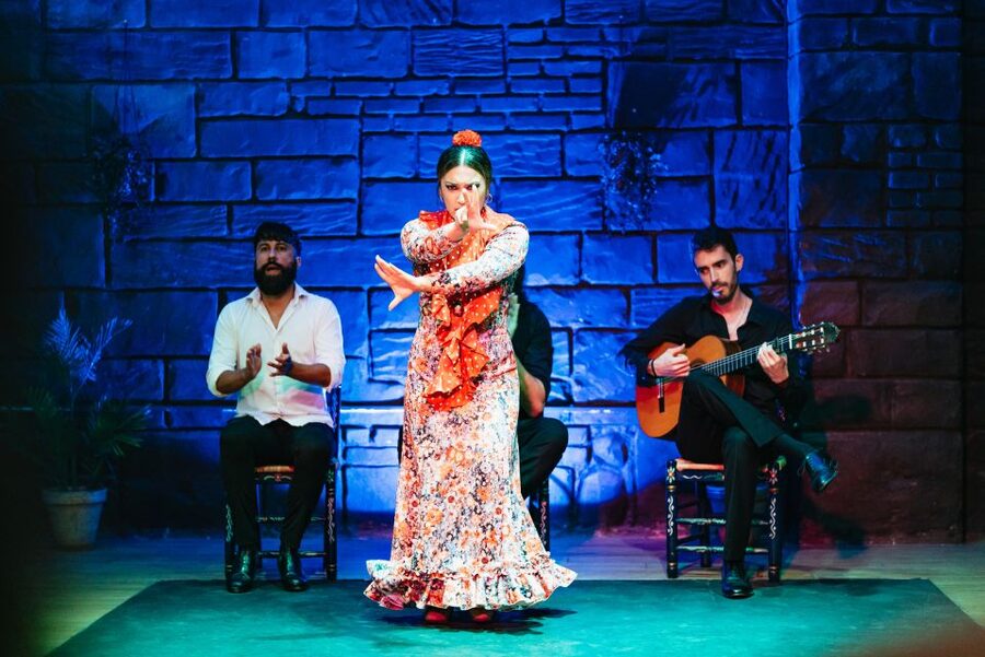 Seville: Baraka Sala Flamenca Show with Drink in Triana - What happens during the 60-minute show