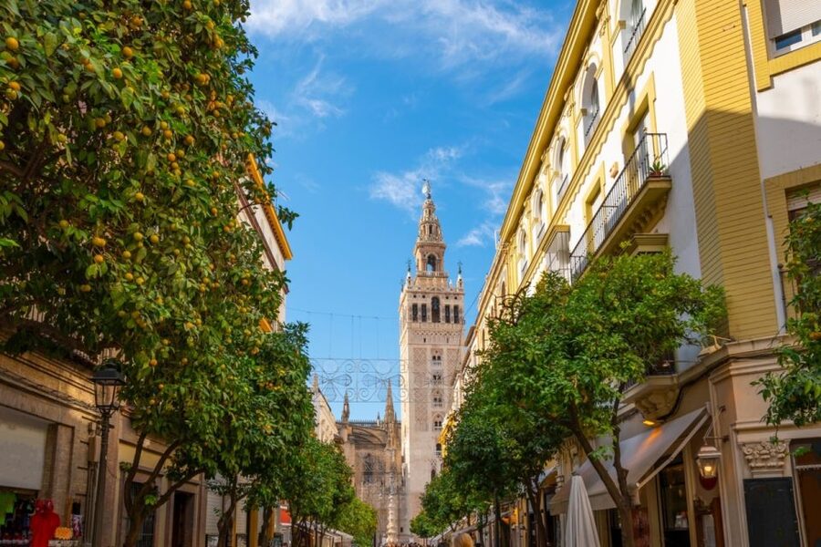 Seville: Barrio de Santa Cruz Small Group Walking Tour - How much time the 75 to 105 minutes gives you