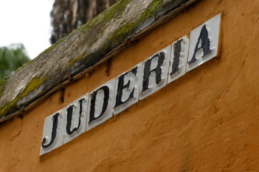 Seville: Barrio de Santa Cruz Small Group Walking Tour - Practical booking advice for a smoother walk