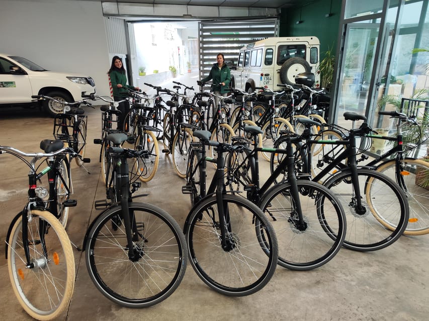 Seville: Bike Rental - Key points to know before you ride