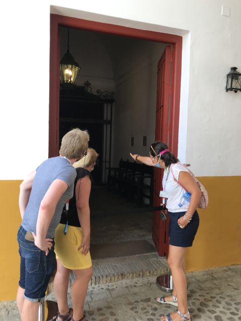 Seville: Bullring Guided Tour with a Skip-the-Line Ticket - Why the live guide matters here