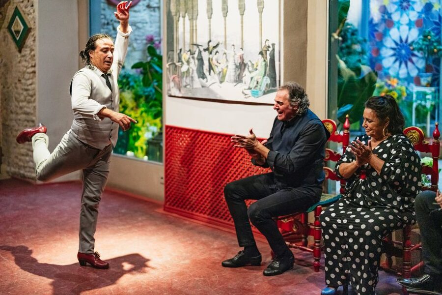 Seville: Casa de la Memoria Flamenco Show - Understanding flamenco without a lecture