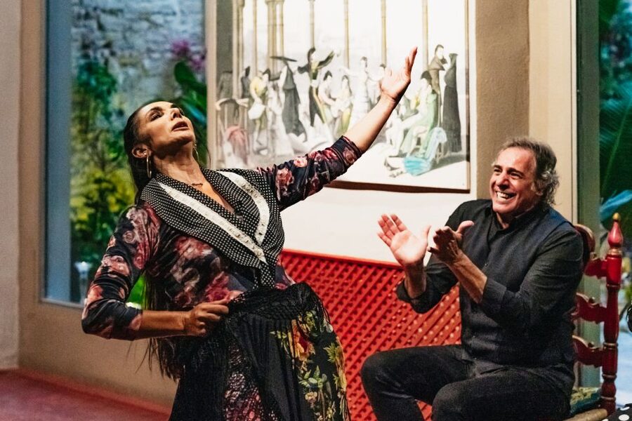 Seville: Casa de la Memoria Flamenco Show - Value at $28 per person