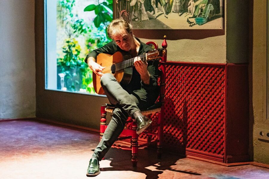 Seville: Casa de la Memoria Flamenco Show - Who will enjoy this show most