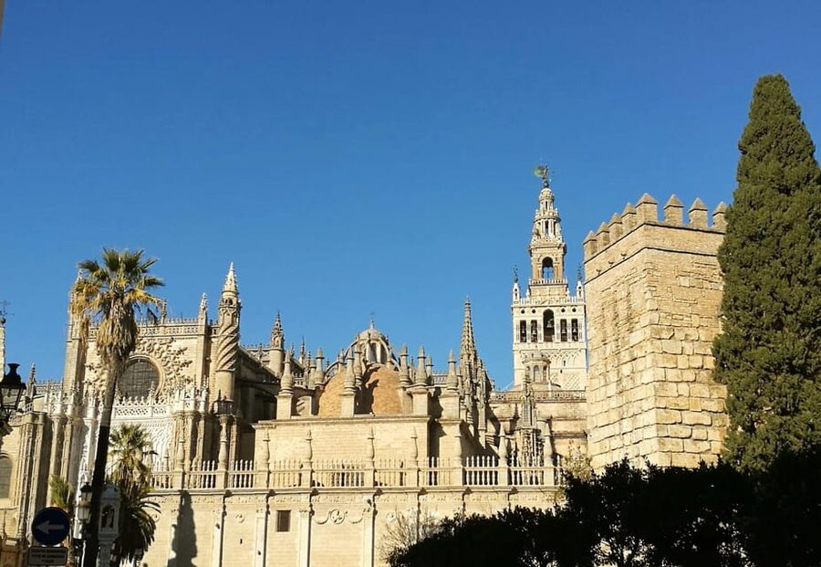 Seville: Cathedral & Alcázar Guided Tour with River Cruise - Who will get the most from this tour?