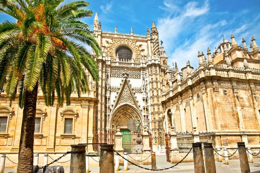 Seville: Cathedral and Alcázar Guided Tour - How the guides shape the visit