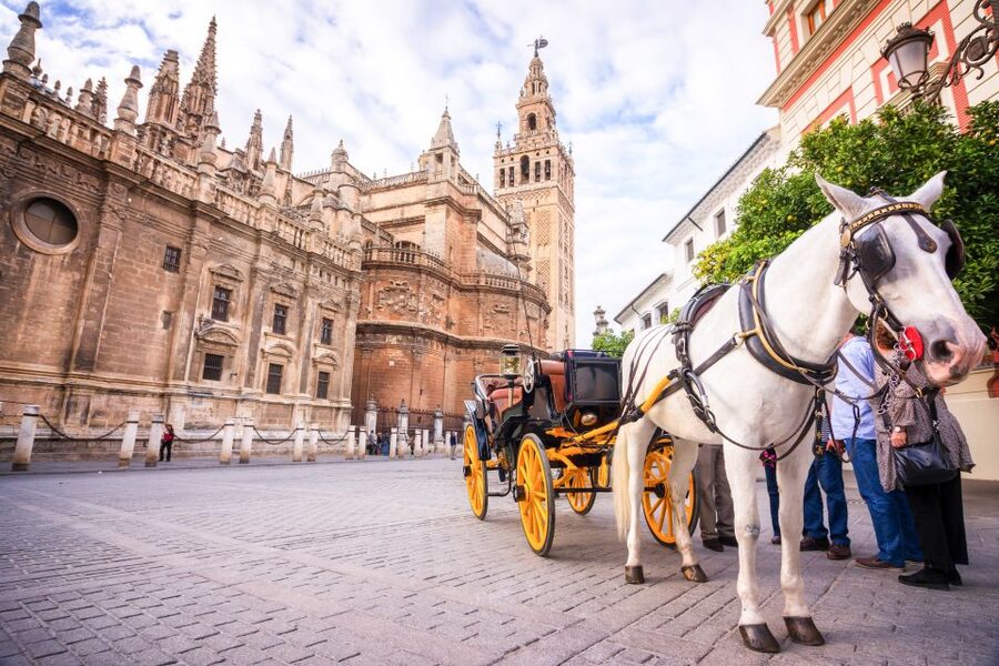 Seville: Cathedral and Alcázar Guided Tour - Inside Seville Cathedral for 75 minutes