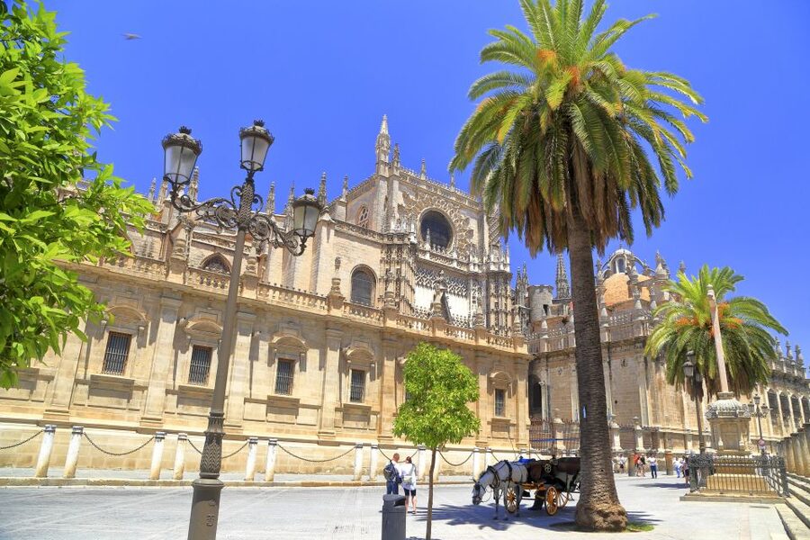 Seville: Cathedral, Giralda & Alcazar Entry With Guided Tour - Climbing the Giralda by ramp instead of stairs