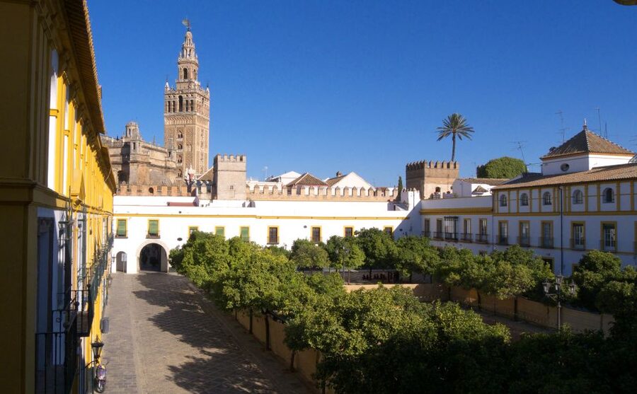 Seville: Cathedral, Giralda & Alcázar Guided Tour - My advice before you reserve