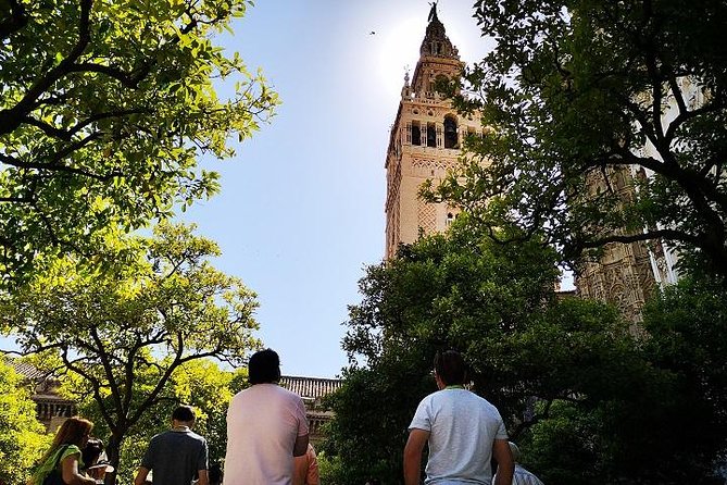 Seville Cathedral Tour including tickets and skip the line entry - Price, timing, and who gets the best value
