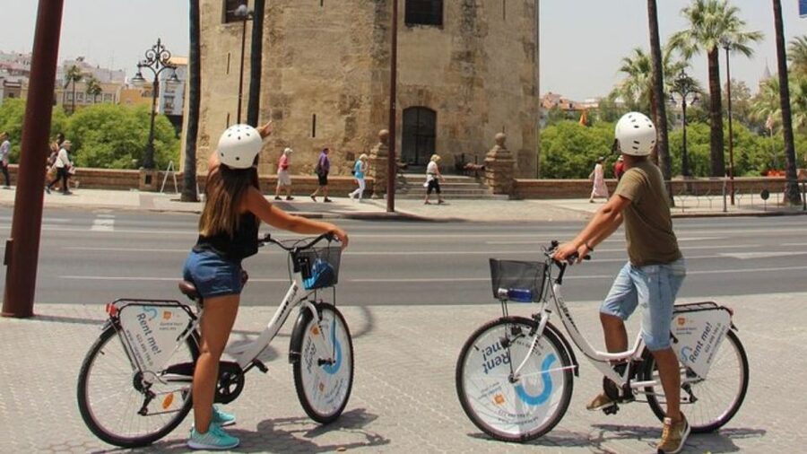 Seville City Bike Tour: Top Seville's Monuments - Why a bike is smart in spread-out Seville