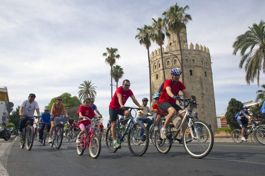 Seville City Bike Tour: Top Seville's Monuments - Alameda, Campana, and the Setas