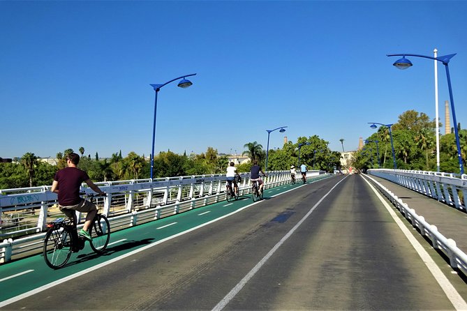 Seville Electric Bike Private Tour - The Cathedral, Giralda, and central Seville