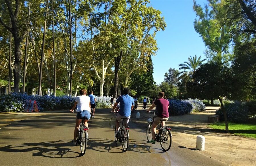 Seville: Electric Bike Tour in Small Group - Across to Triana