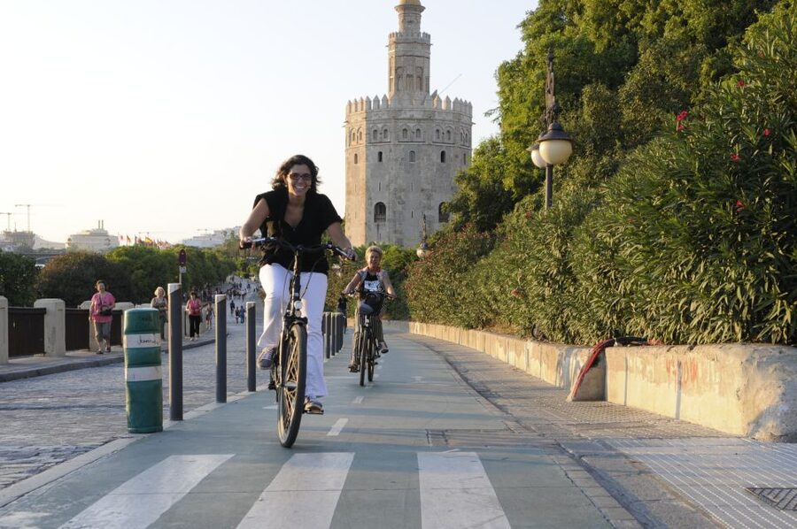 Seville: Electric Bike Tour in Small Group - Who should book this ride?