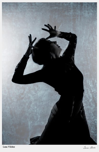 Seville: Enjoy a class of approach to flamenco - Is $41 good value for one hour?