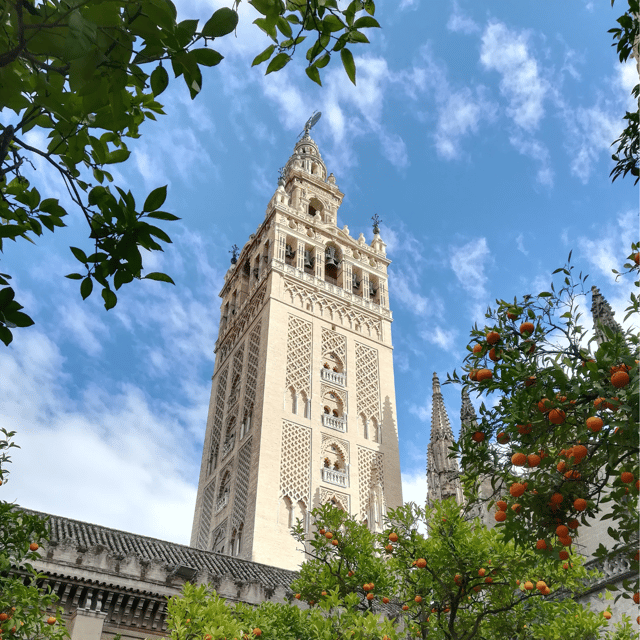 Seville: Fast Track Cathedral Giralda Tower Last minute Tour - What the guides add to the visit